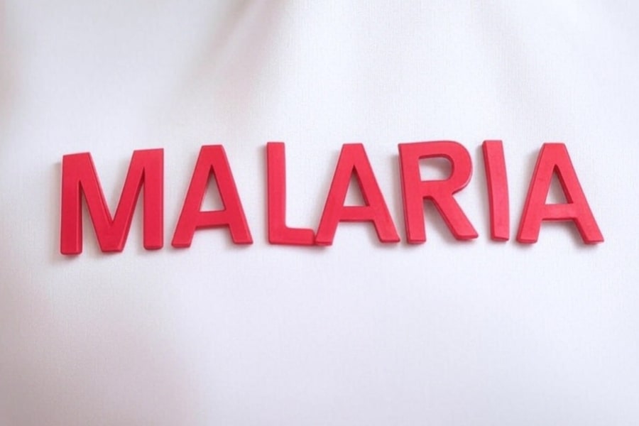 Things You Should Know About Malaria Test Results in Nigeria
